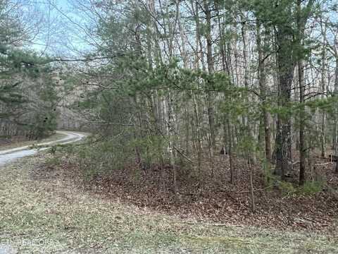 70 Homberg Lane, Fairfield Glade, TN 38558