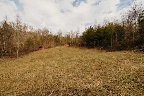 632 Opossum Hollow Road, Wellington, KY 40387