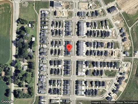 Frisee, MADISON, WI 53711