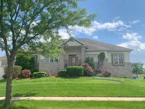 Blazingstar, FITCHBURG, WI 53711