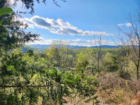 Bristol Hwy, Hiltons, VA 24258