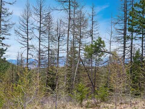 460 Buffalo Lane, Somers, MT 59932