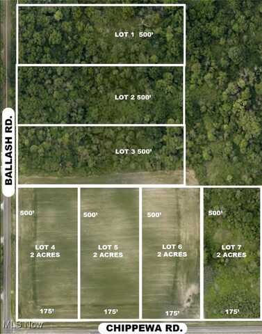 Lot #1 Ballash Road, Chippewa Lake, OH 44215