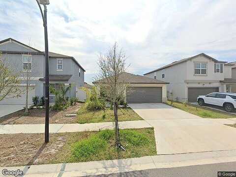 Blue Plume, RIVERVIEW, FL 33578