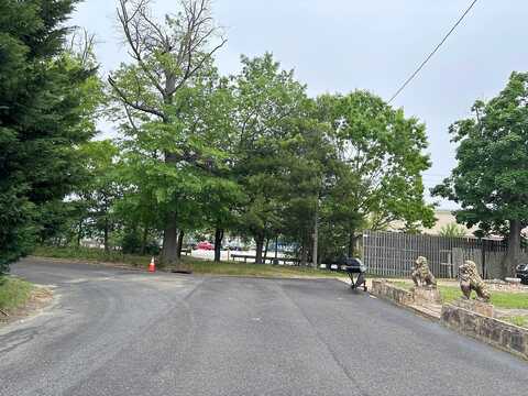 Willow, WILLIAMSTOWN, NJ 08094