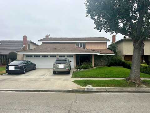 Ibex, CERRITOS, CA 90703