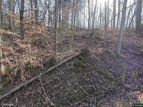 Tunnel Ridge, SEVIERVILLE, TN 37876