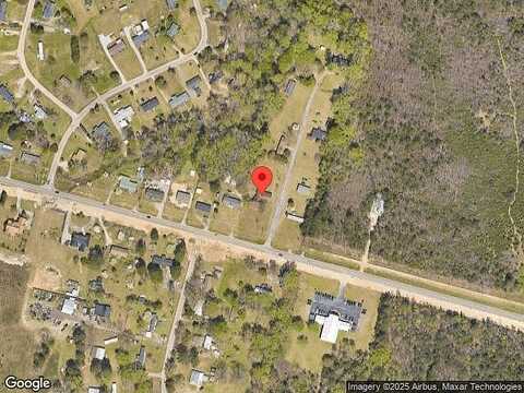 Alligator, EFFINGHAM, SC 29541