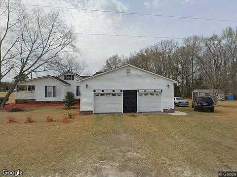 Alligator, EFFINGHAM, SC 29541
