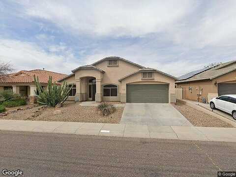 Hedgehog, PHOENIX, AZ 85085
