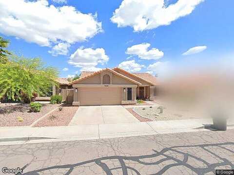 Taxidea, PHOENIX, AZ 85048