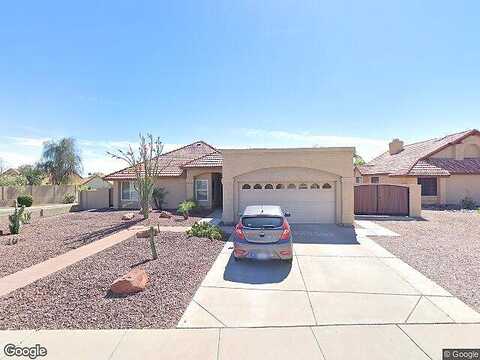 White Aster, PHOENIX, AZ 85044