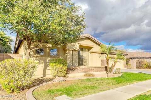 Seagull, CHANDLER, AZ 85286