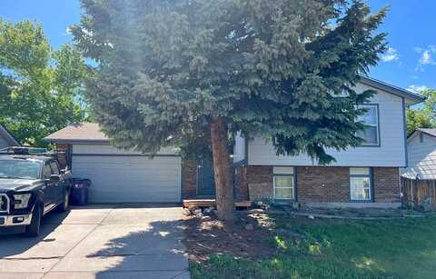 Iris, LITTLETON, CO 80123