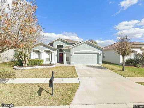 Sparkling, WESLEY CHAPEL, FL 33545