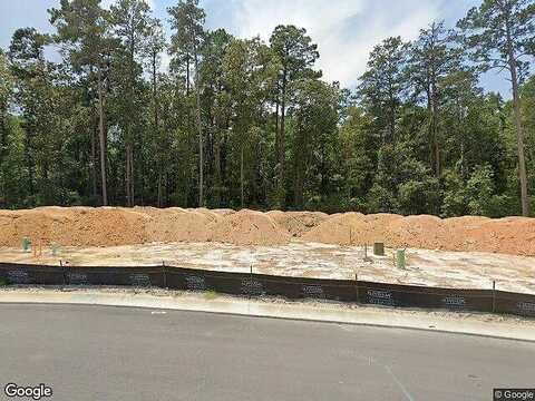 Apple Tree, COLUMBIA, SC 29223