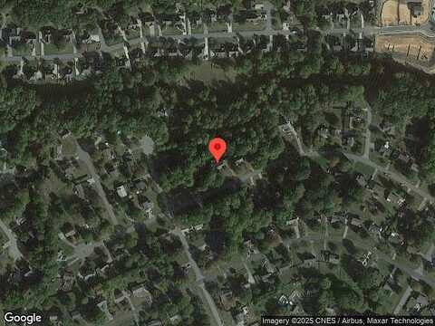 Big Tree, LEWISVILLE, NC 27023