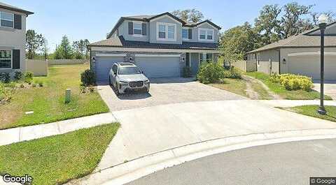 Greenheart, WESLEY CHAPEL, FL 33545