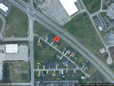 Chinchilla, FORT WAYNE, IN 46816