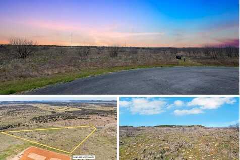1120 Pheasant Court, Graford, TX 76449