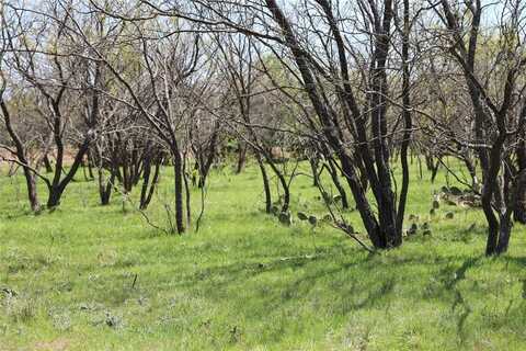 Tbd Mitchell Hill Road, Gordon, TX 76453