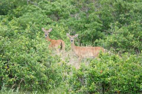 370 CR 240, Goldthwaite, TX 76844