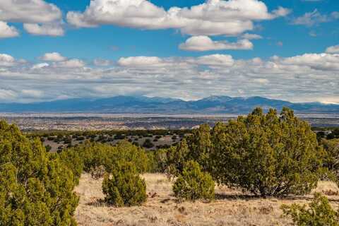 Hanuman, Cerrillos, NM 87010