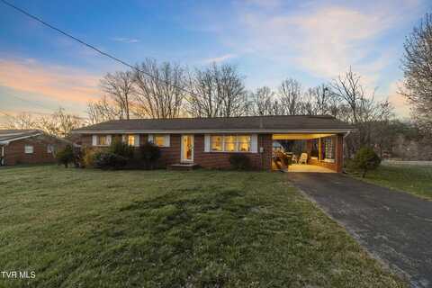 1204 Alice Street, Greeneville, TN 37743