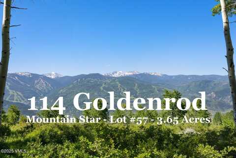114 Goldenrod, Avon, CO 81620