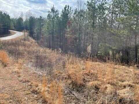 Creekside Circle unit: 94, Rutherfordton, NC 28139