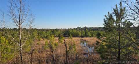 03 Josey Williams Road, Erwin, NC 28339