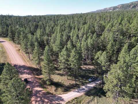 Halcon Road lot: 3, Ramah, NM 87321