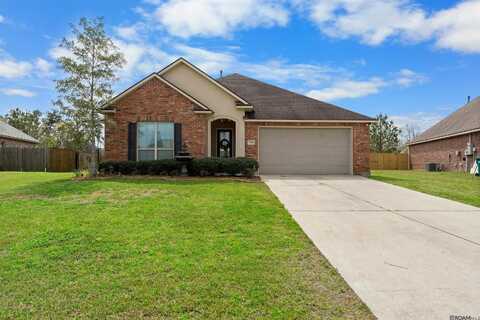 13382 Alder Dr, Denham Springs, LA 70726