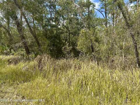 Glenarm Way, Weeki Wachee, FL 34613