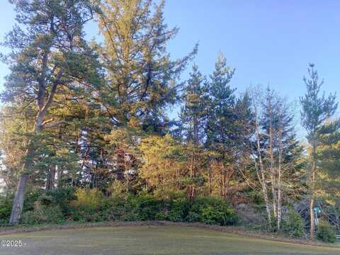 1005 NW Salal Drive, Waldport, OR 97394