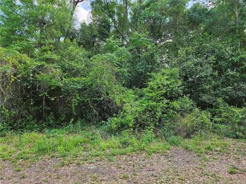 0 SE 138 STREET, SUMMERFIELD, FL 34491