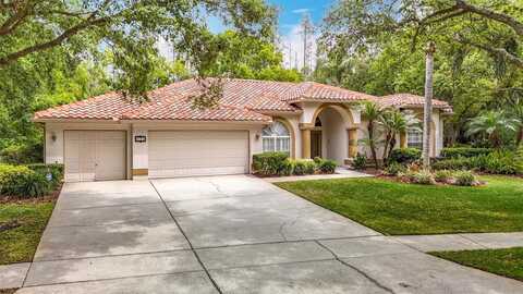 9131 WOODRIDGE RUN DRIVE, TAMPA, FL 33647