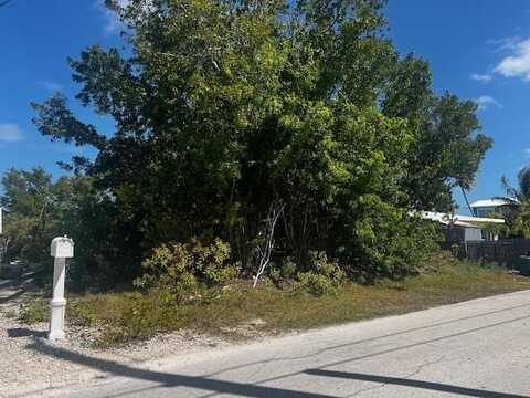 31145 Hibiscus Drive, Big Pine Key, FL 33043