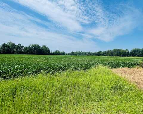 CR 428, Oxford, MS 38655