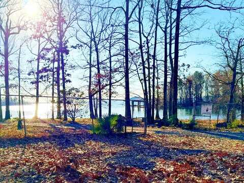 50 HAWK, Florien, LA 71429