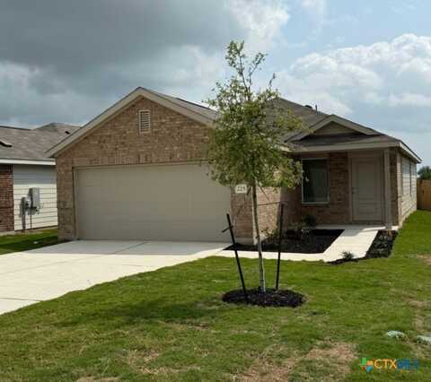 225 Brannigan Drive, Jarrell, TX 76537