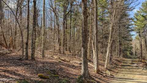 LOT16 PORCUPINE Ct, Becket, MA 01223