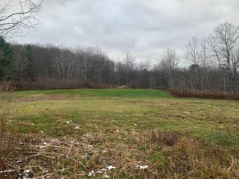 0 Phillips ODell Road, Guilford, NY 13809