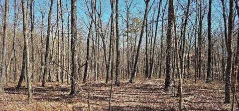 Bluff View Dr W, Dunlap, TN 37327