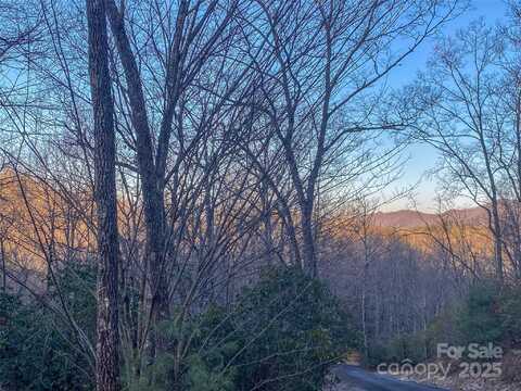 Ridge Trail Drive lot: 26, Balsam Grove, NC 28708