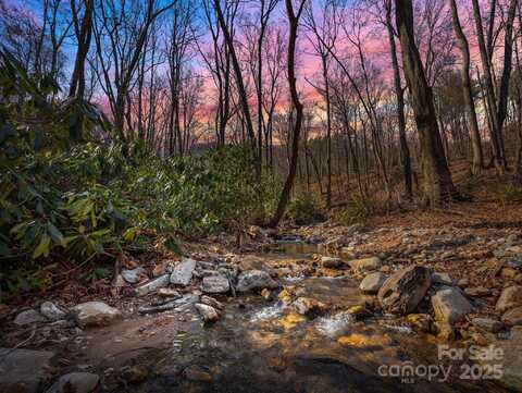 Stafford Lane S unit: 2065, Mill Spring, NC 28756