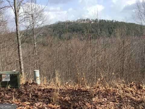 0 Terrace Lane, Blairsville, GA 30512