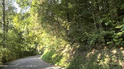 T2 Caney Creek Road, Pigeon Forge, TN 37863