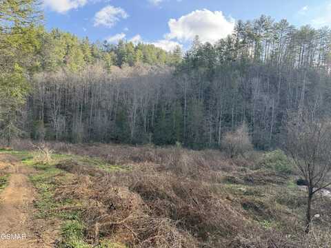 Rocky Creek Rd, Del Rio, TN 37727
