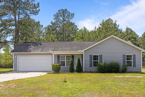 176 Ashbury Park Lane, Richlands, NC 28574